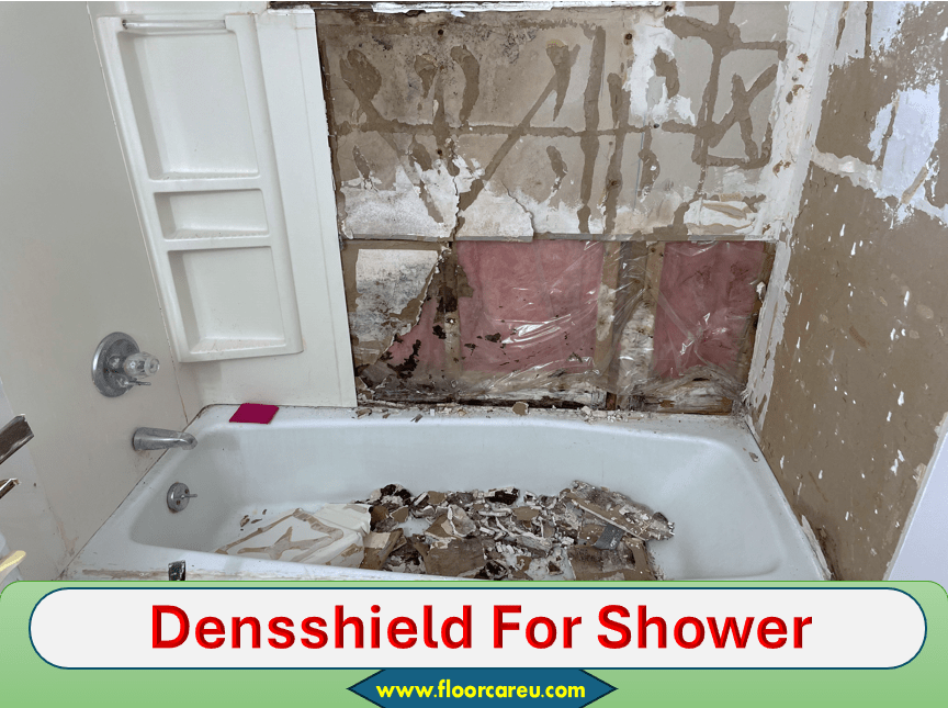 Densshield For Shower