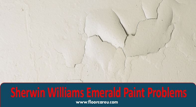 Sherwin Williams Emerald Paint Problems