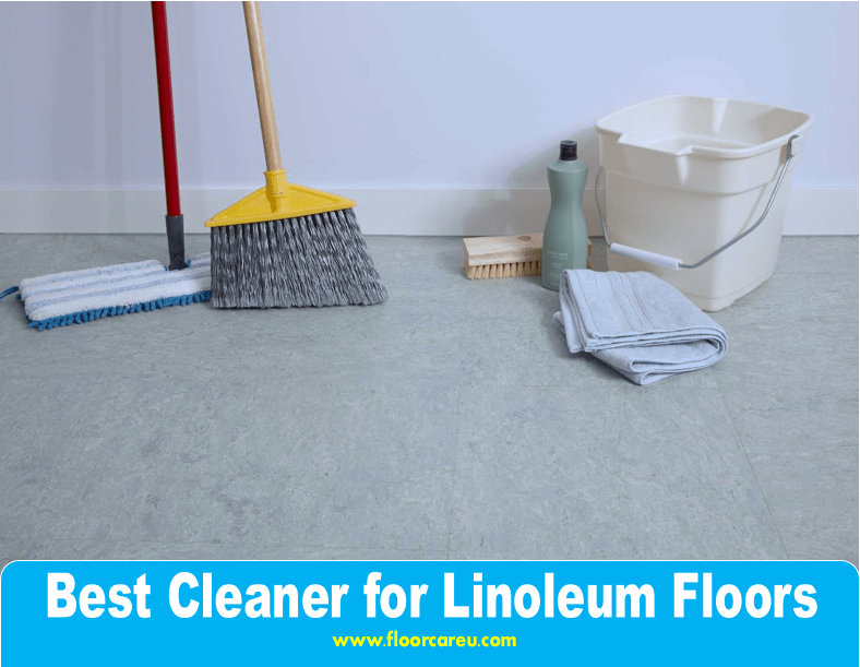 Best Cleaner for Linoleum Floors